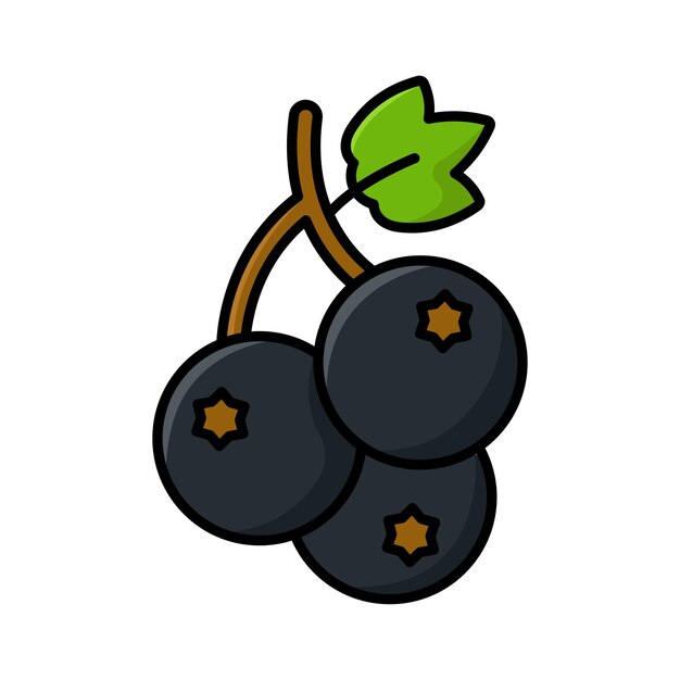 plantilla de diseño vectorial de icono de grosella negra en fondo blanco