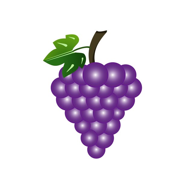 plantilla de diseño vectorial de íconos de uvas