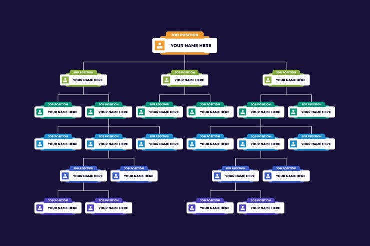 Vector plantilla de empleado de organigrama de empresa