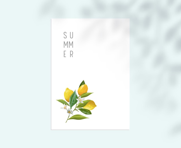 Vector plantilla estacionaria con frutos de limón, hojas y flores en la hoja de papel blanco. fondo de diseño botánico de verano con sombra de ramas de árboles, identidad de marca empresarial corporativa. ilustración vectorial