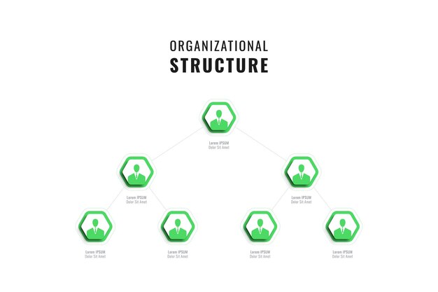 Plantilla de estructura de empresa de infografía con elementos hexagonales verdes sobre un fondo blanco