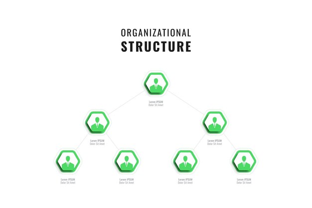 Plantilla de estructura de empresa de infografía con elementos hexagonales verdes sobre un fondo blanco