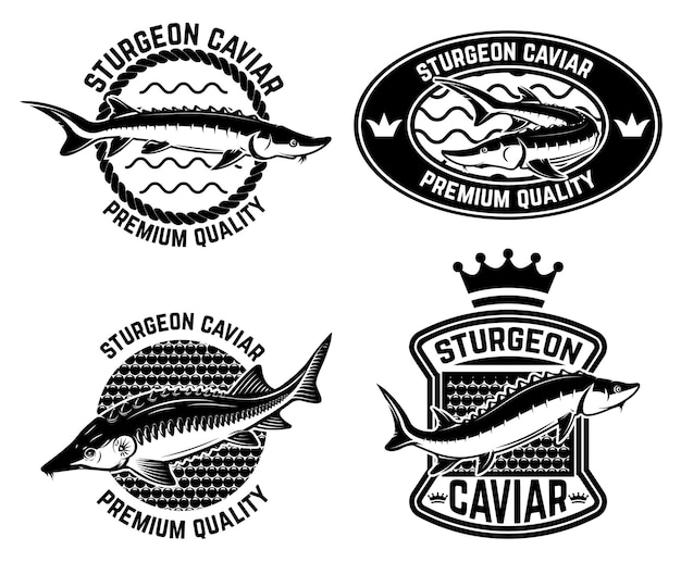 Plantilla de etiqueta de caviar de esturión