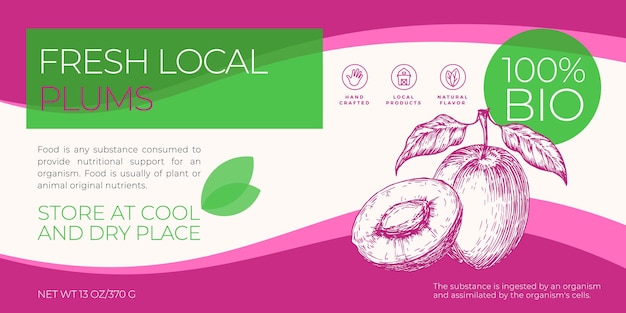 Plantilla de etiqueta de frutas y bayas locales frescas. Diseño de diseño horizontal de embalaje de vector abstracto. Banner de tipografía moderna con fondo de silueta de bosquejo de ciruelas dibujadas a mano. Aislado