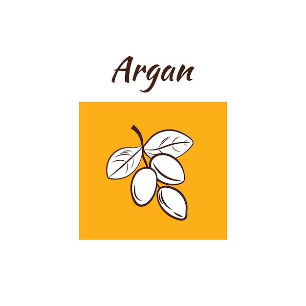 Plantilla de etiqueta de ilustración de argán vectorial esquema de estilo dibujado a mano ramita de argán paquete de aceite de argania