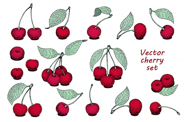 Plantilla de fondo cereza de vector.