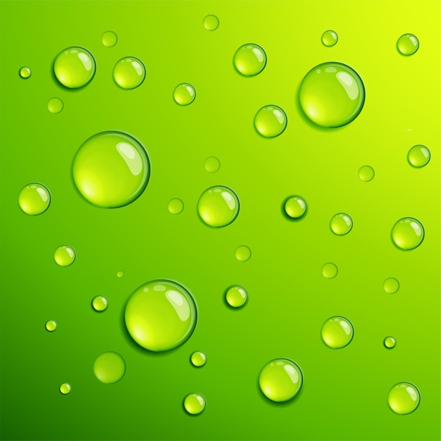 Plantilla de fondo dros de rocío de agua clara transparente verde fresco