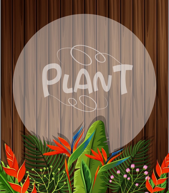 Vector plantilla de fondo con flores birdofparadise