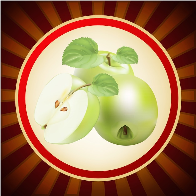 Vector plantilla de fruta manzana verde