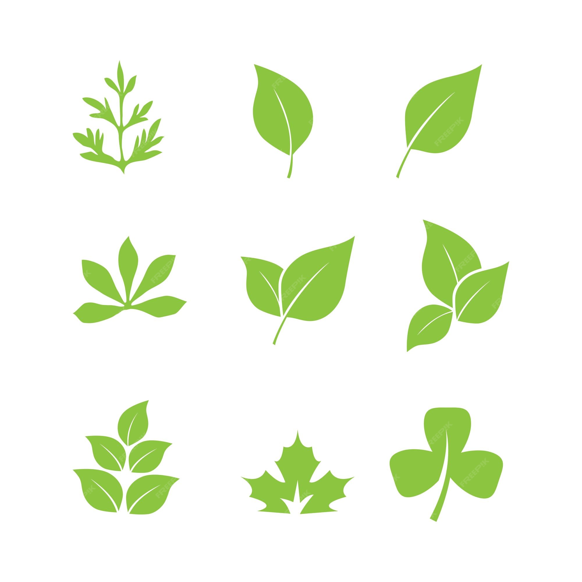 Plantilla De Una Hoja Plantilla de icono de hoja | Vector Premium