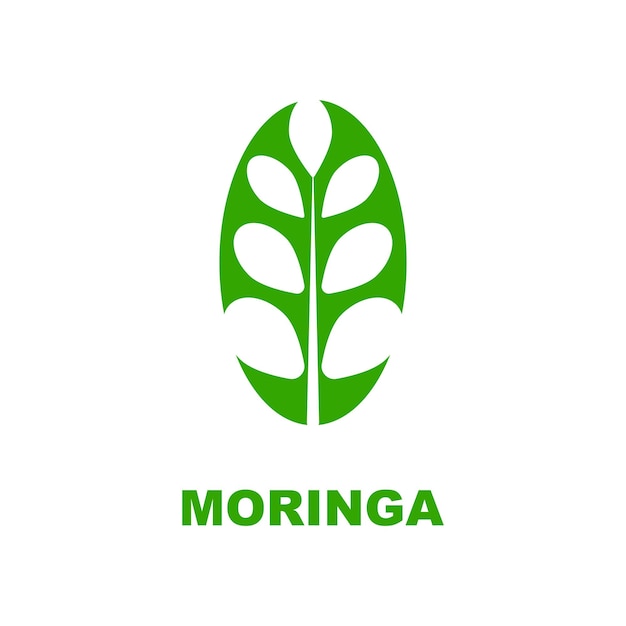 plantilla de icono de ilustración de vector de diseño de concepto de logotipo de hoja de moringa verde con un concepto moderno