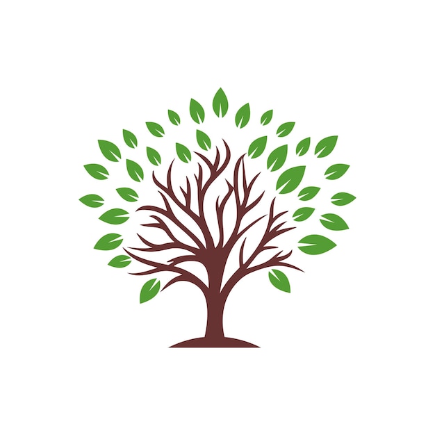 Plantilla de icono de logotipo de árbol vectorial estilizado