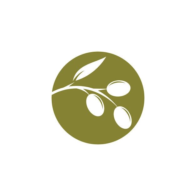 plantilla de ilustración de logotipo de oliva diseño plano vectorial