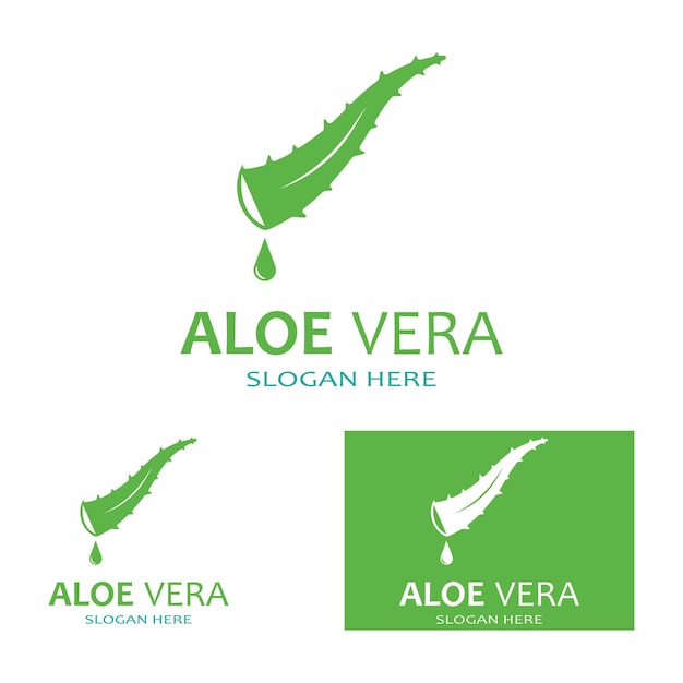 Plantilla de ilustración de vector de logotipo de aloe vera