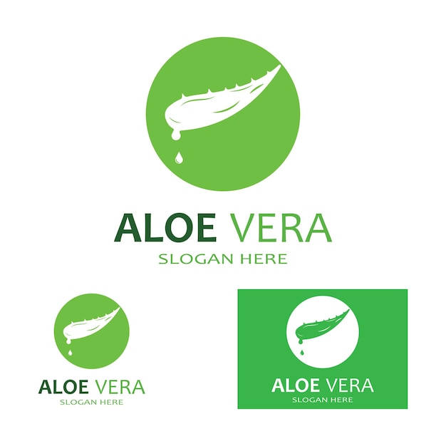 Plantilla de ilustración de vector de logotipo de aloe vera