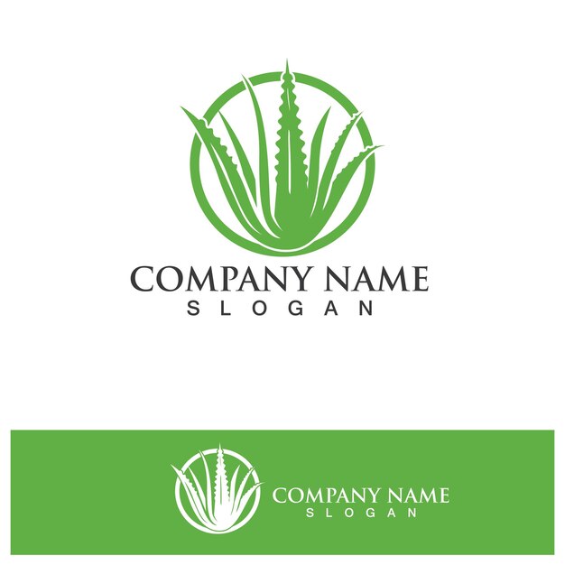 Plantilla de ilustración de vector de logotipo de aloe vera