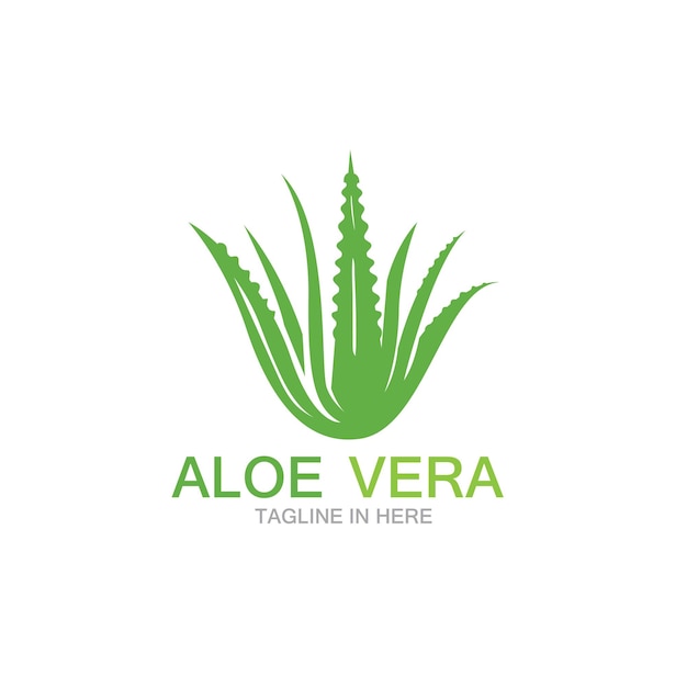 Plantilla de ilustración de vector de logotipo de aloe vera