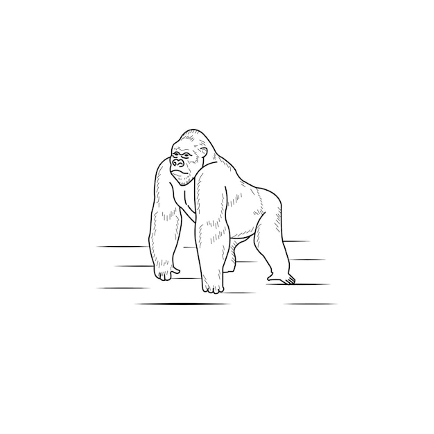 plantilla de ilustración vectorial de gorila para libro de colorear lección de dibujo para niños