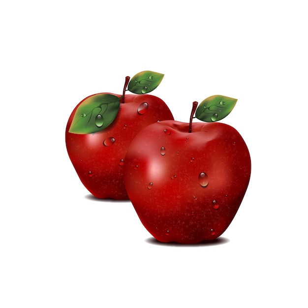 Vector plantilla de ilustración vectorial de manzanas rojas