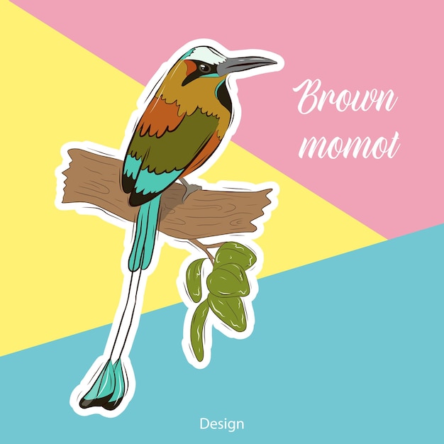 Plantilla de ilustración vectorial para una postal, tarjeta de visita o banner publicitario. ilustración de stock. pegatina de aves tropicales sobre un fondo brillante. momot marrón.