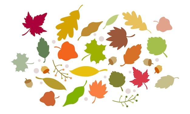 Plantilla de imagen de fondo de follaje de otoño y frutas cosecha de bellota naturaleza