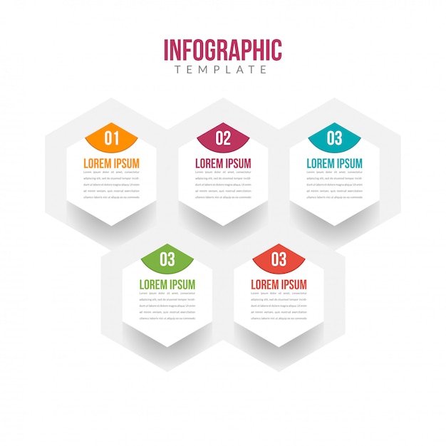 Plantilla de infografía de 5 pasos