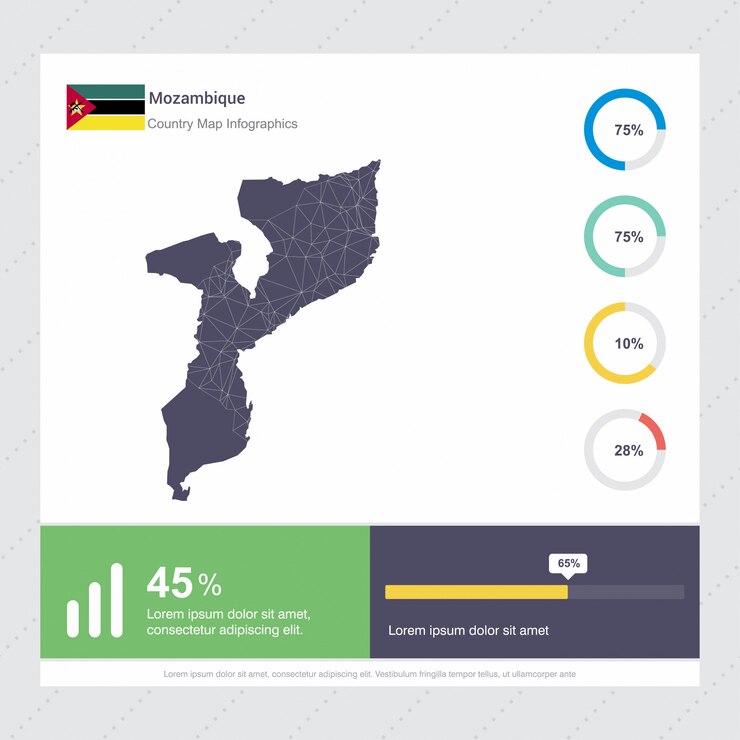 Plantilla de infografía de mapa y bandera de Mozambique