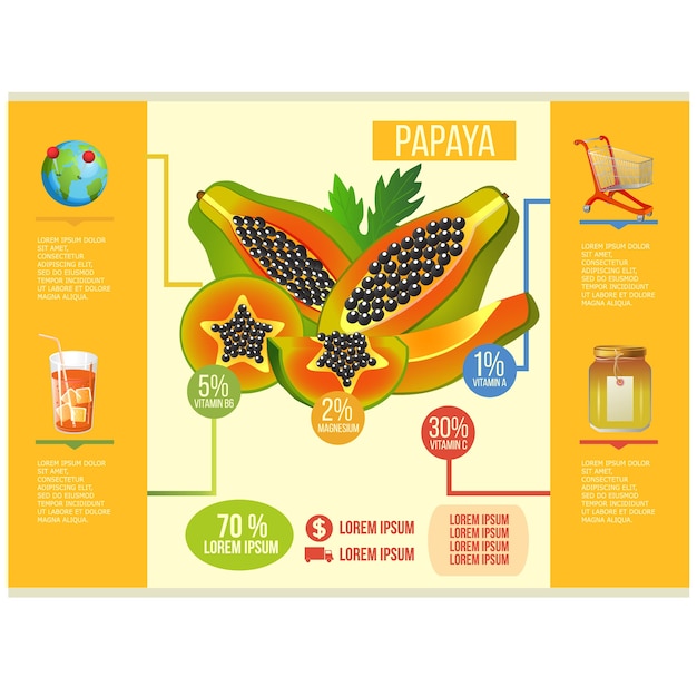 Vector plantilla de la infografía de papaya