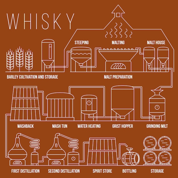 Plantilla de infografía de proceso de producción de whisky