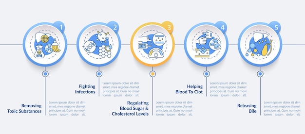 Plantilla de infografía de roles hepáticos. elementos de diseño de presentación de eliminación de sustancias tóxicas.