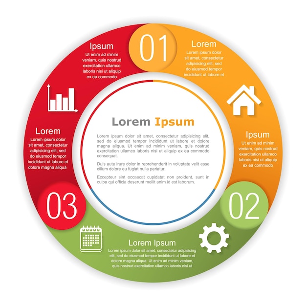 Vector plantilla de infografías circulares