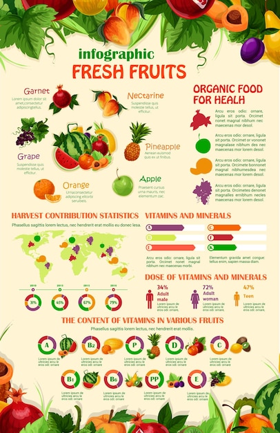 Plantilla de infografías vectoriales de frutas exóticas del jardín