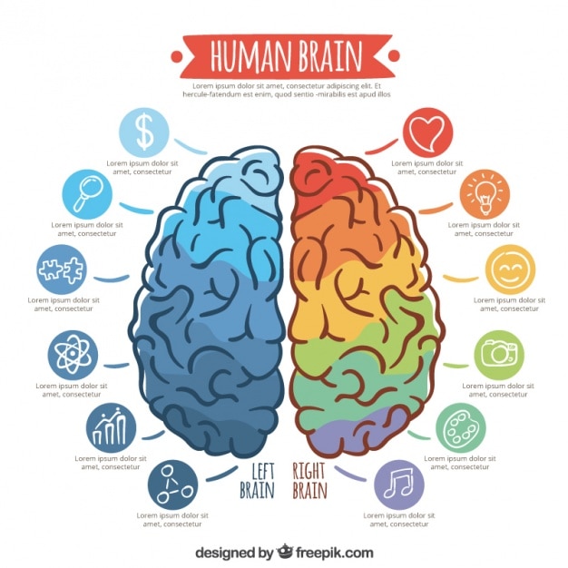 Plantilla infográfica de cerebro colorido