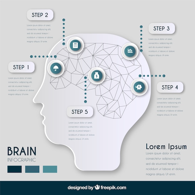 Vector plantilla infográfica de cerebro geométrico con cinco pasos