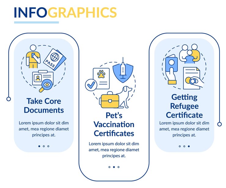 Vector plantilla infográfica de rectángulo de documentos y certificados de refugiados