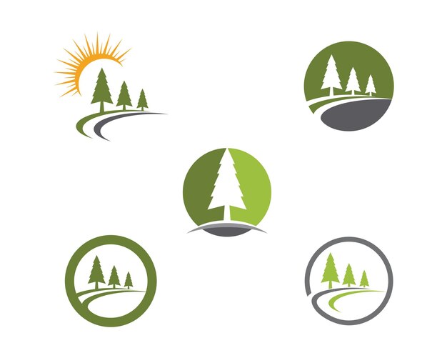 Plantilla de logotipo de árbol de cedro