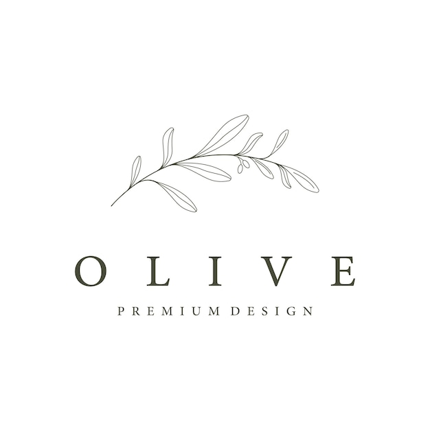 Plantilla de logotipo botánico Hoja de olivo natural dibujada a mano y fruta Aceite de oliva a base de hierbascosmético o belleza