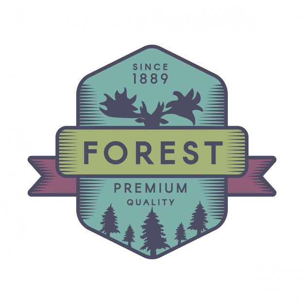 plantilla de logotipo de color del bosque