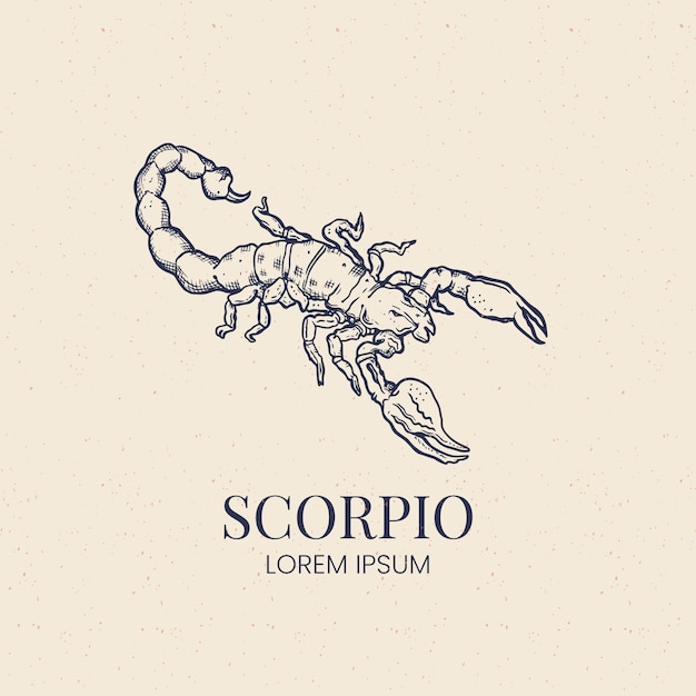 Vector plantilla de logotipo de escorpio de diseño plano dibujado a mano