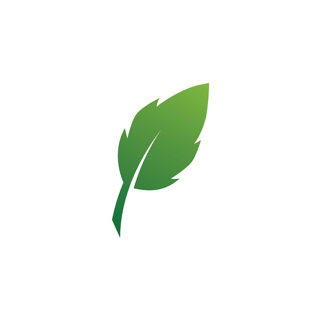 Plantilla de logotipo de hoja de árbol ecológico