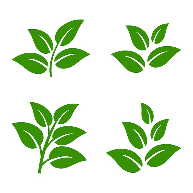 plantilla del logotipo de la hoja Icono de la hoja verde