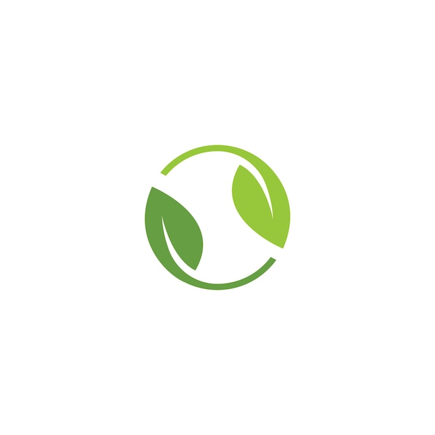 plantilla del logotipo de la hoja Icono vectorial