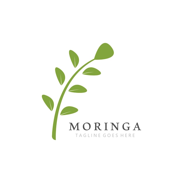 Plantilla de logotipo de hoja de Moringa natural verde aislada sobre fondo blanco