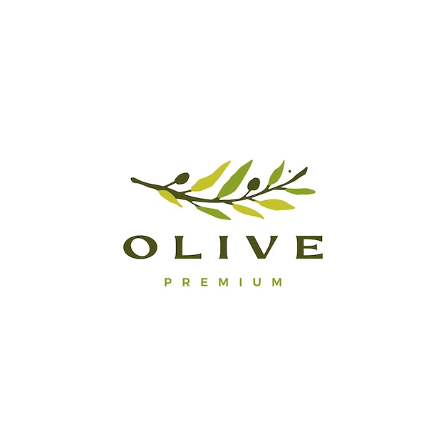 Plantilla de logotipo de hoja de rama de olivo
