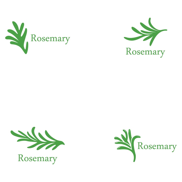 Vector plantilla de logotipo de hoja de romero