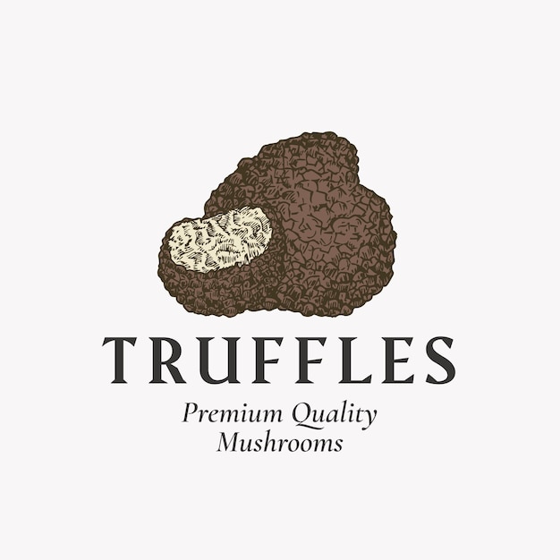 Plantilla de logotipo o símbolo de signo abstracto de setas premium