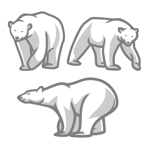 Vector plantilla de logotipo de oso polar