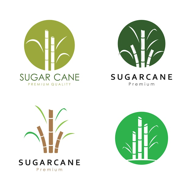Plantilla de logotipo de planta de caña de azúcar dulce natural