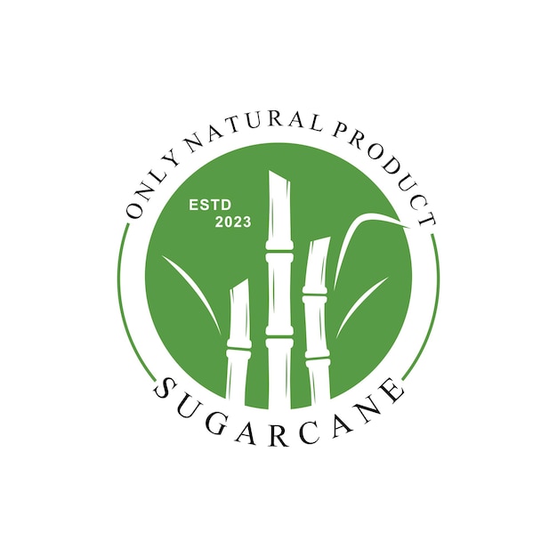 Plantilla de logotipo de planta de caña de azúcar dulce natural
