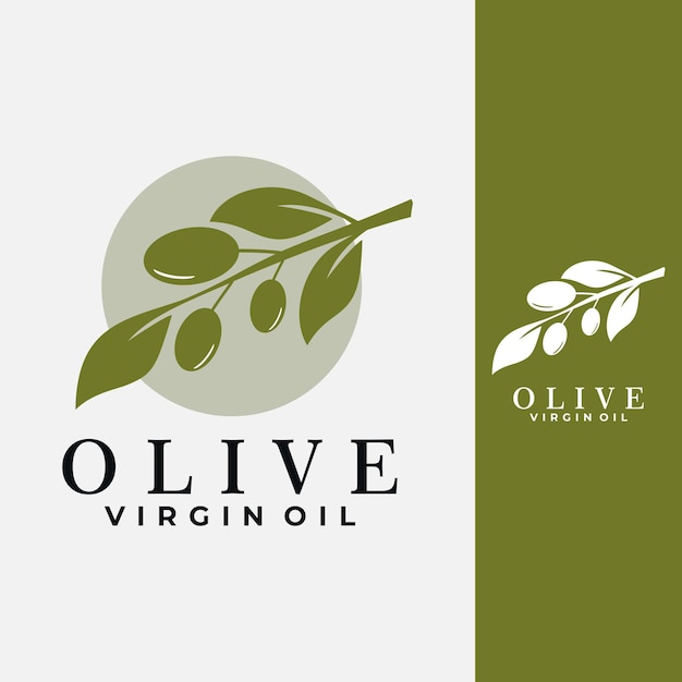 Plantilla de logotipo de planta de olivo. ilustración de vector de aceite virgen de árbol de rama de olivo.